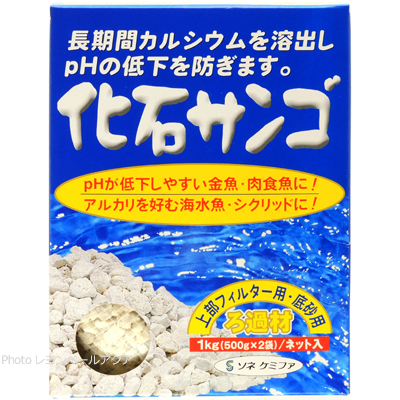 ソネケミファ 化石サンゴ 1Kg（500g×2/ネット入）