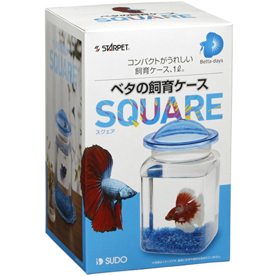 ベタの飼育ケース スクエア