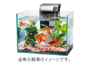 観賞魚飼育セット GA-30GF 金魚の飼育イメージ