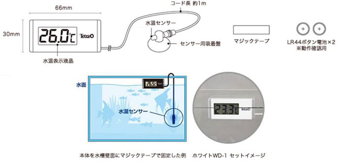 デジタル水温計 ホワイト/ブラック