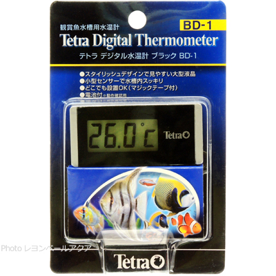 デジタル水温計 ブラック BD-1