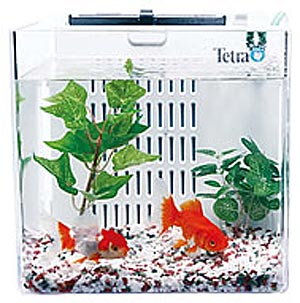 スマート金魚飼育セット SP-17GF