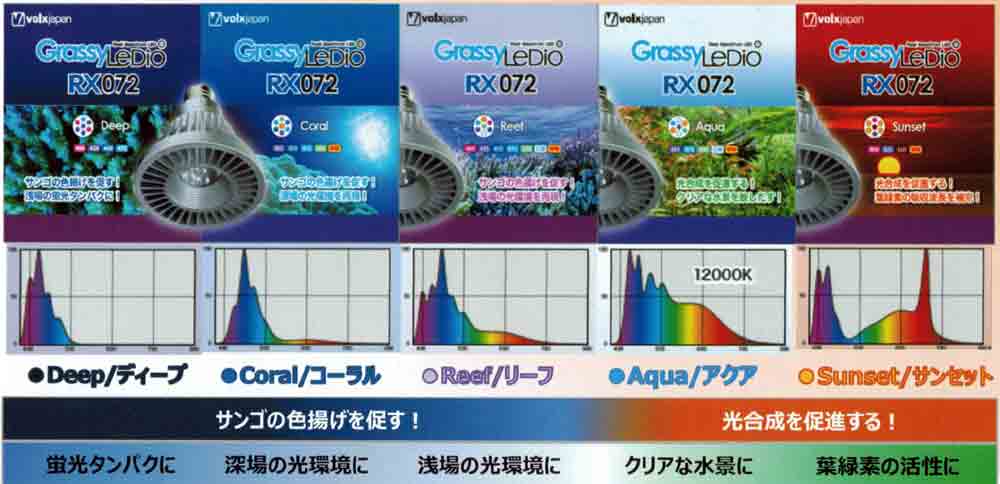 グラッシーレディオ　RX072 Reef