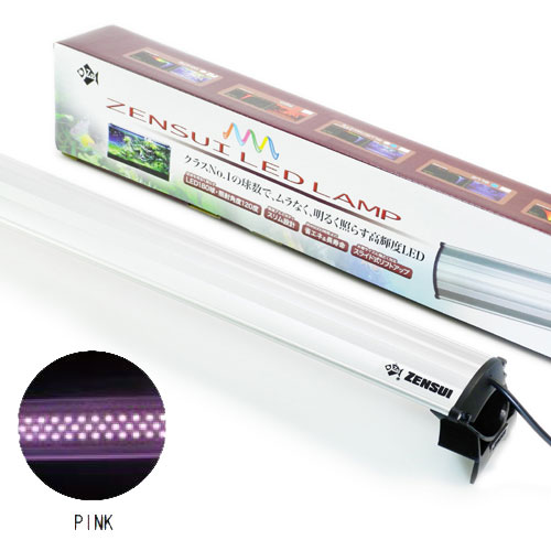 ゼンスイ LEDランプ 60cm ピンク
