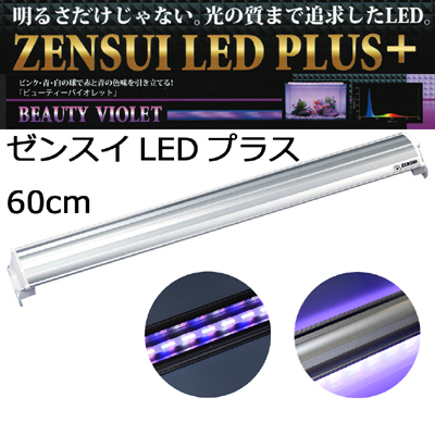 LEDプラス 60cm ビューティーバイオレッド 