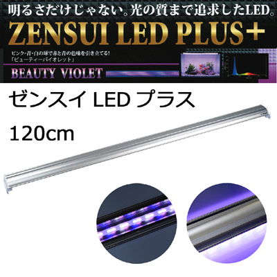 LEDプラス120cm ビューティーバイオレッド 